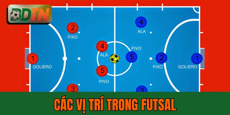 Các Vị Trí Trong Futsal: 4 Vị Trí Chính Và Điểm Khác Biệt