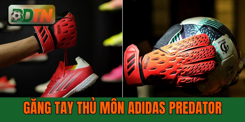 Găng Tay Thủ Môn Adidas Predator: 4 Phiên Bản Và Cách Chọn Chuẩn