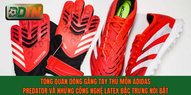 Tổng quan dòng găng tay thủ môn Adidas Predator và công nghệ nổi bật