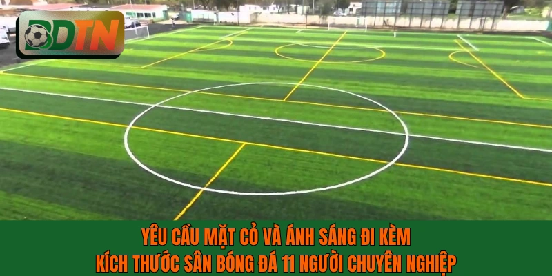 Yêu cầu mặt cỏ và ánh sáng đi kèm kích thước sân bóng đá 11 người