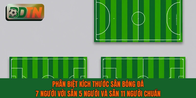 Phân biệt kích thước sân bóng đá 7 người với sân 5 người và sân 11 người chuẩn