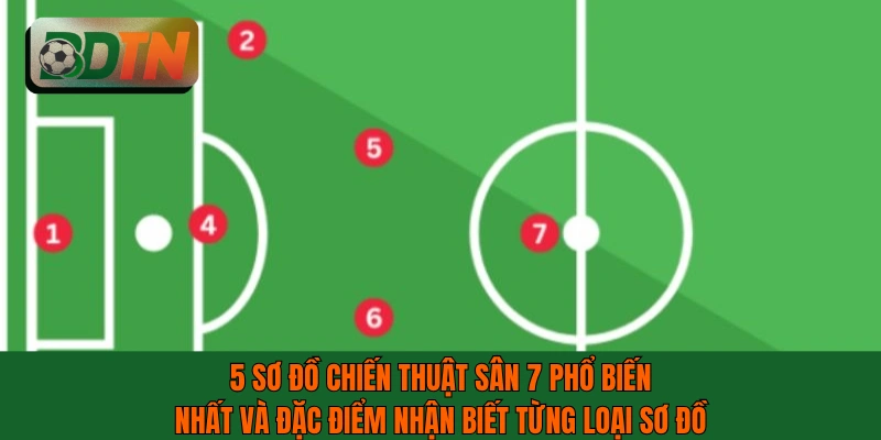 5 sơ đồ chiến thuật sân 7 phổ biến nhất và đặc điểm nhận biết từng loại sơ đồ