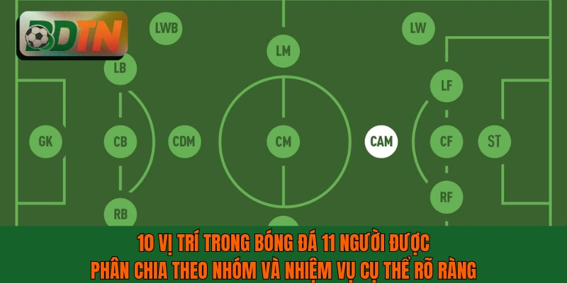 10 vị trí trong bóng đá 11 người được phân chia theo nhóm và nhiệm vụ